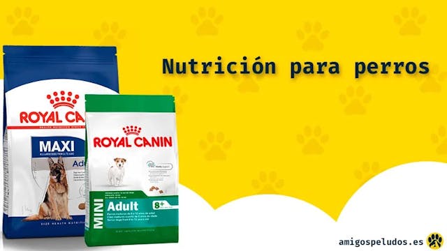Imagen de Royal Canin Maxi y Mini Adult: Nutrición para Perros de Razas Grandes y Pequeñas