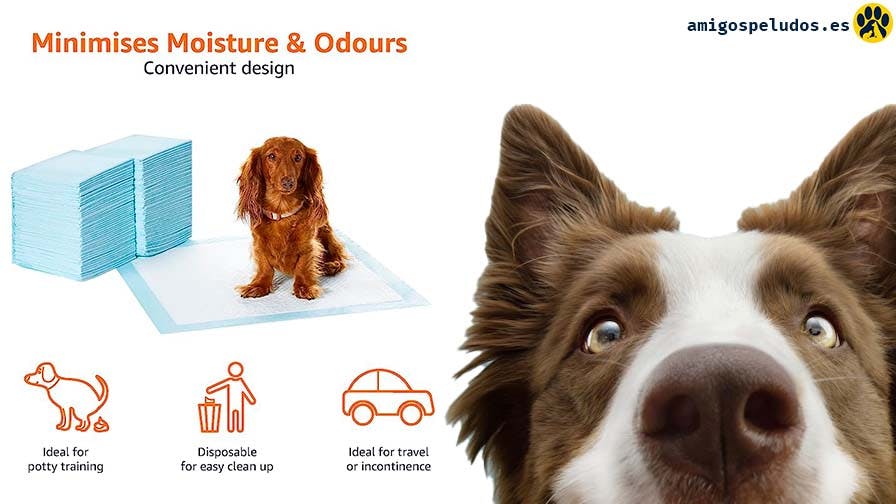 Almohadillas de adiestramiento Amazon Basics para perros y cachorros