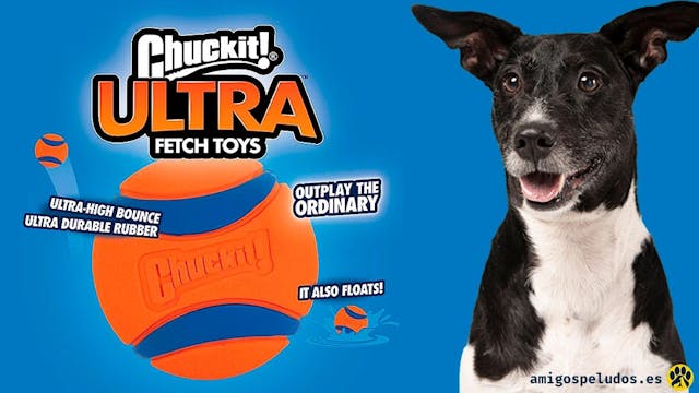 Imagen de Chuckit Ultra Ball Medium diversión y ejercicio para tu mascota
