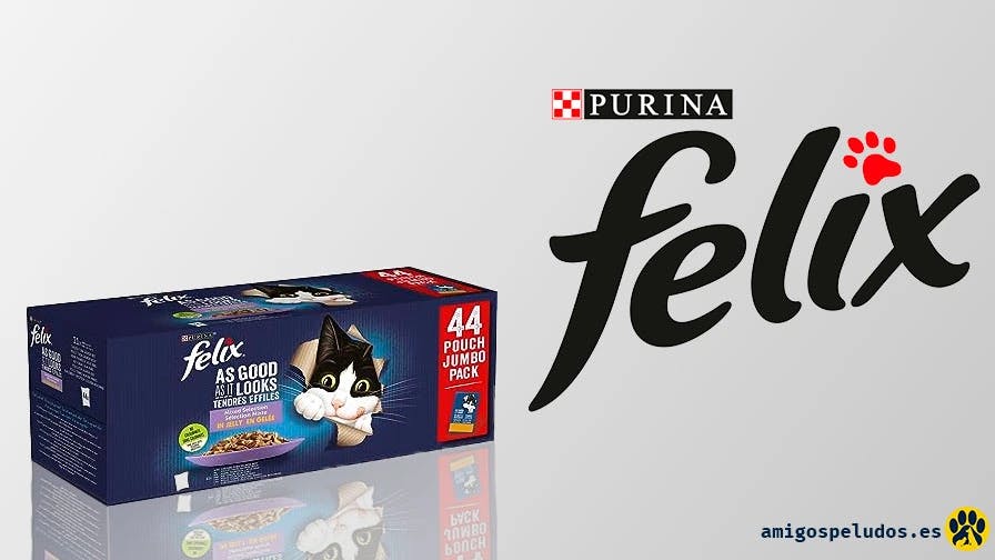 Purina Felix comida en gelatina irresistible para Gatos